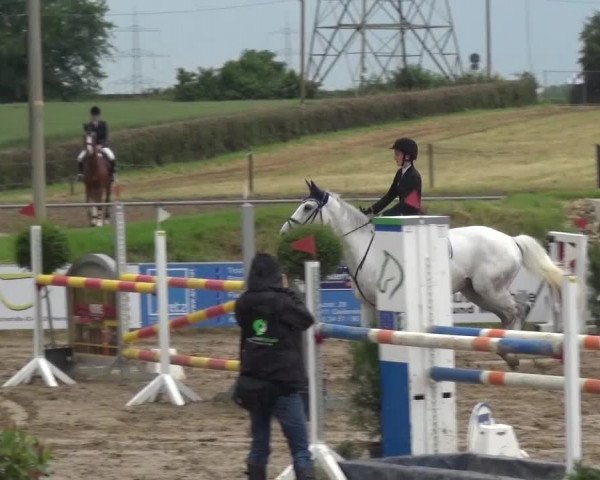 Heinsberger Dressur- und Springtage 2016