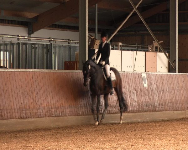 Reitturnier Fröndenberg 2016