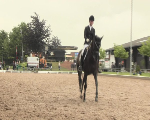 Reitturnier Fröndenberg 2016