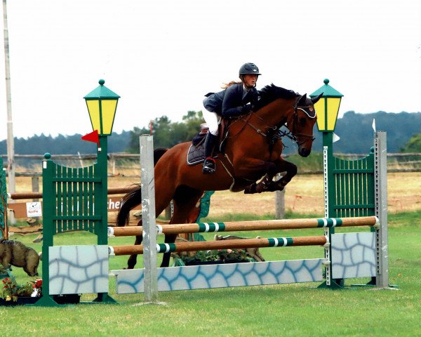 broodmare Stalou (Hanoverian, 2014, from Stakkato)