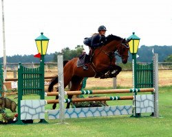 broodmare Stalou (Hanoverian, 2014, from Stakkato)