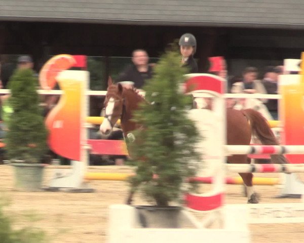 Reitturnier Fröndenberg 2016