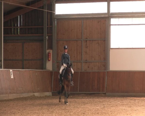 Reitturnier Fröndenberg 2016