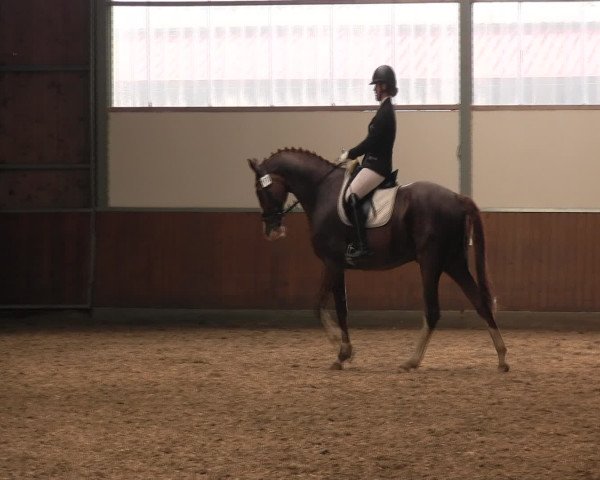 Reitturnier Fröndenberg 2016