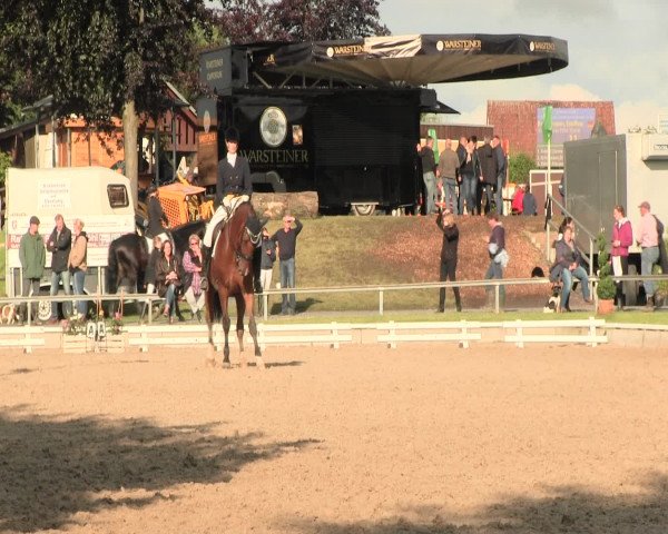 Reitturnier Fröndenberg 2016