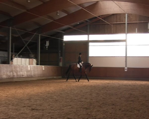 Reitturnier Fröndenberg 2016
