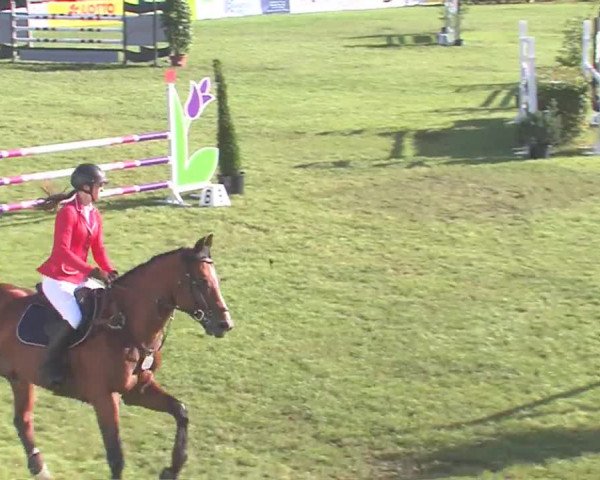 Reitturnier Tasdorf 2016