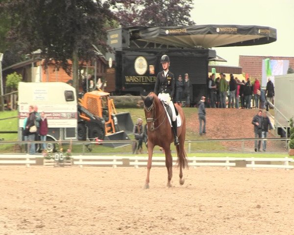 Reitturnier Fröndenberg 2016