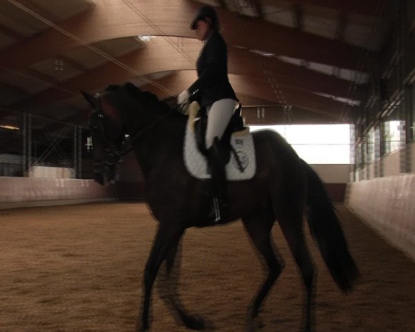 Reitturnier Fröndenberg 2016