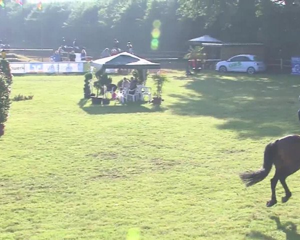 Reitturnier Tasdorf 2016