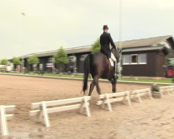 Reitturnier Fröndenberg 2016