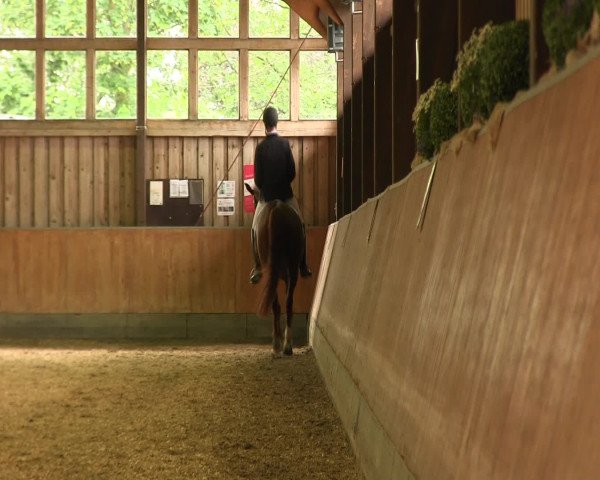 Reitturnier Fröndenberg 2016