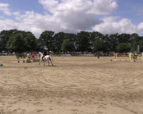 Coesfelder Reitertage 2016