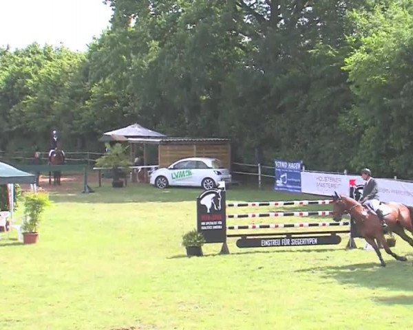 Reitturnier Tasdorf 2016