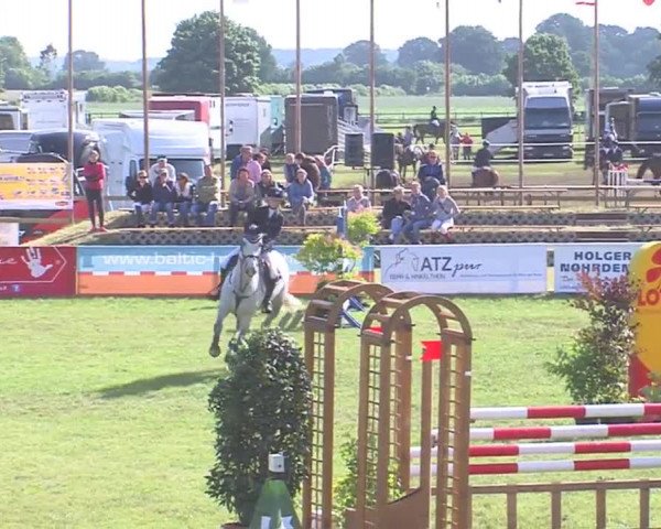Reitturnier Tasdorf 2016