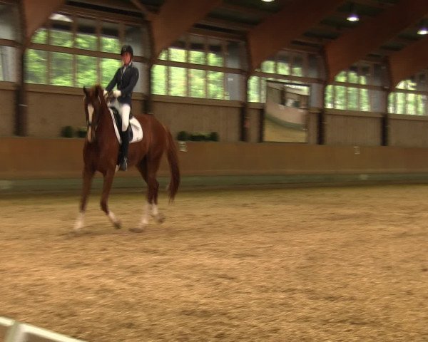 Reitturnier Fröndenberg 2016