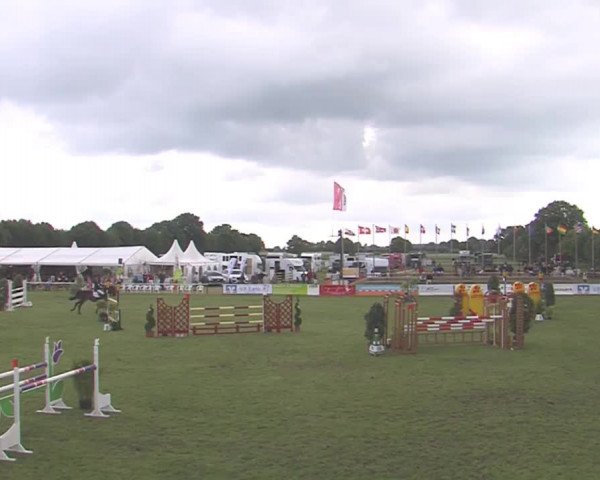 Reitturnier Tasdorf 2016