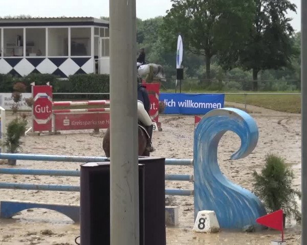 Heinsberger Dressur- und Springtage 2016