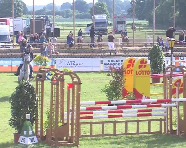 Reitturnier Tasdorf 2016