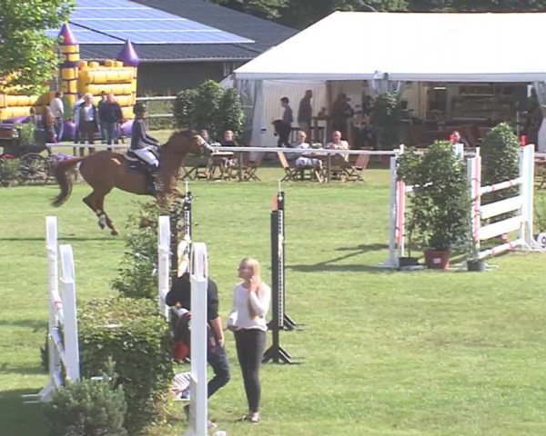 Reitturnier Tasdorf 2016