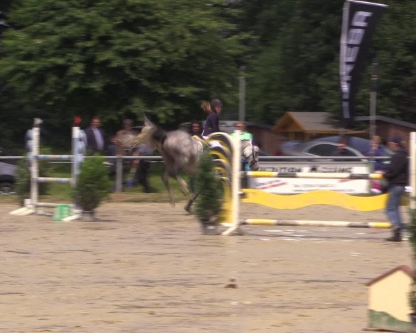 Coesfelder Reitertage 2016