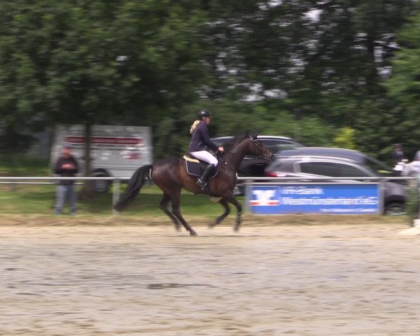 Coesfelder Reitertage 2016