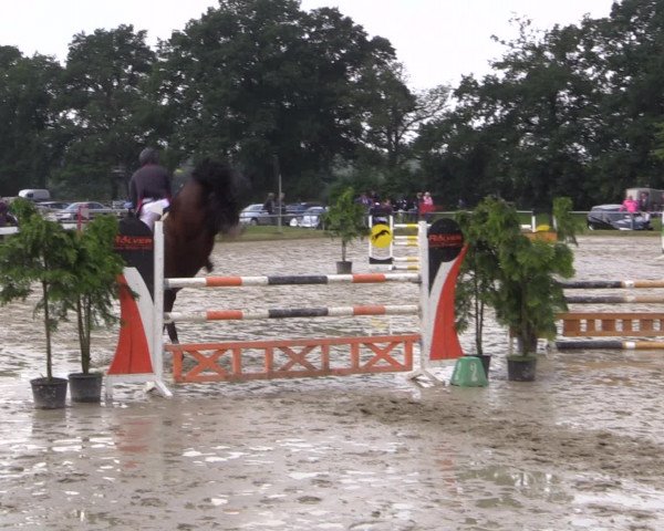 Coesfelder Reitertage 2016