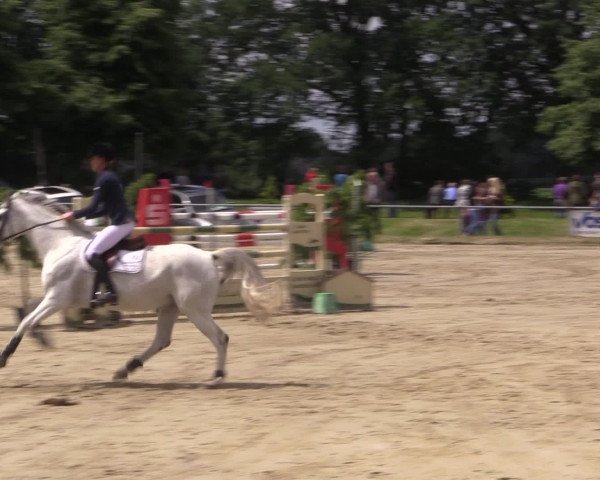 Coesfelder Reitertage 2016