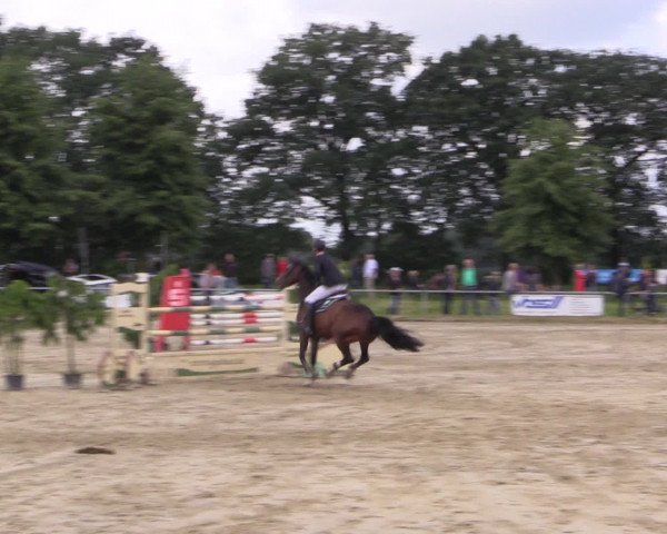 Coesfelder Reitertage 2016