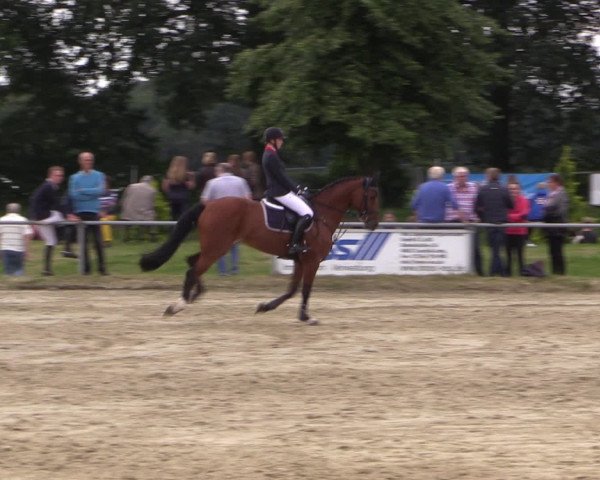 Coesfelder Reitertage 2016