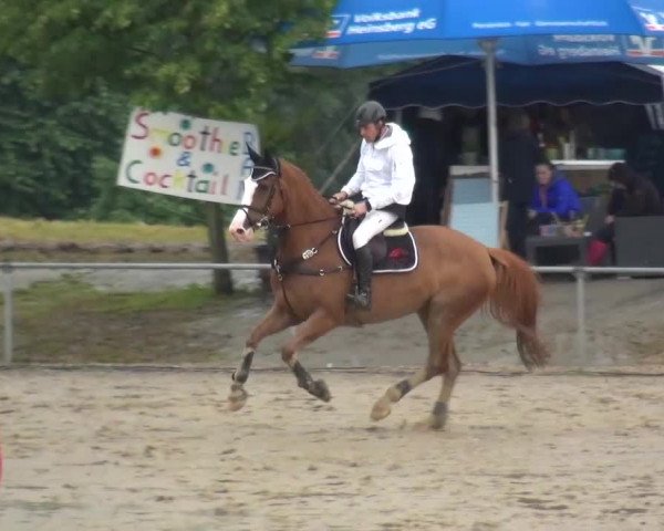 Heinsberger Dressur- und Springtage 2016