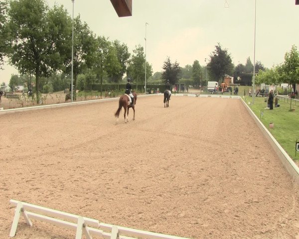 Reitturnier Fröndenberg 2016