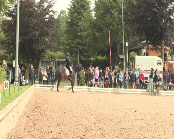 Reitturnier Fröndenberg 2016