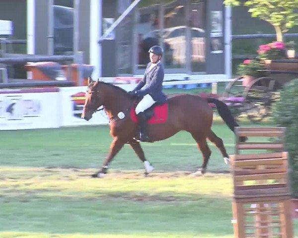 Reitturnier Tasdorf 2016