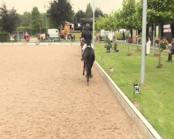 Reitturnier Fröndenberg 2016