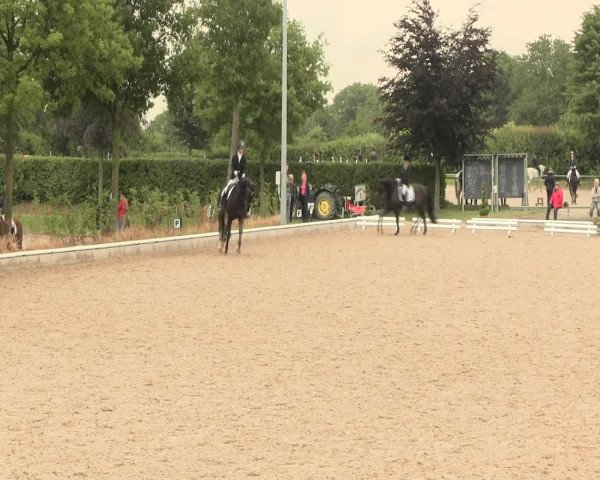 Reitturnier Fröndenberg 2016