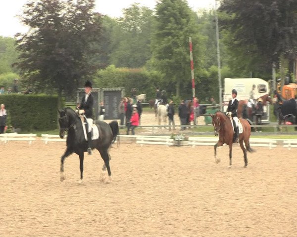 Reitturnier Fröndenberg 2016