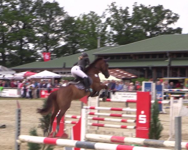 Coesfelder Reitertage 2016