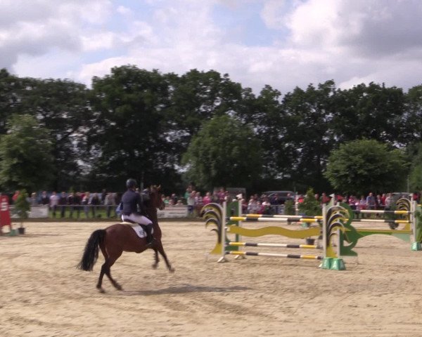Coesfelder Reitertage 2016