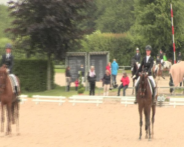 Reitturnier Fröndenberg 2016
