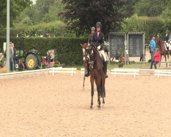 Reitturnier Fröndenberg 2016
