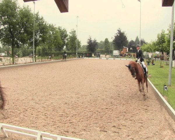 Reitturnier Fröndenberg 2016