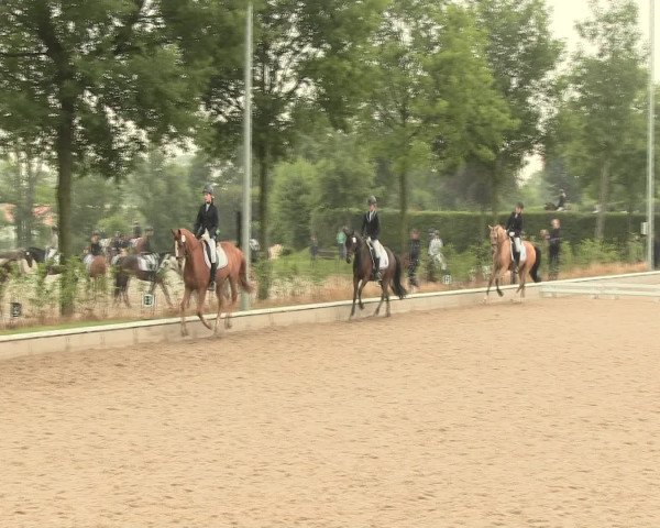 Reitturnier Fröndenberg 2016