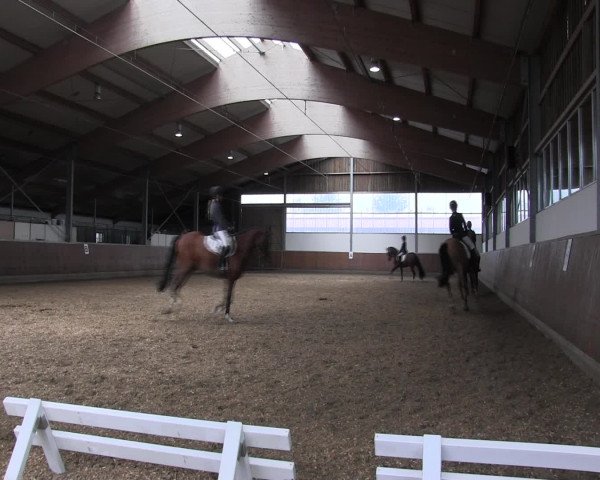 Reitturnier Fröndenberg 2016