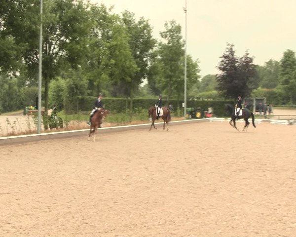 Reitturnier Fröndenberg 2016