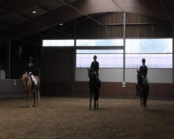 Reitturnier Fröndenberg 2016