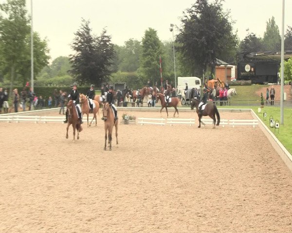 Reitturnier Fröndenberg 2016