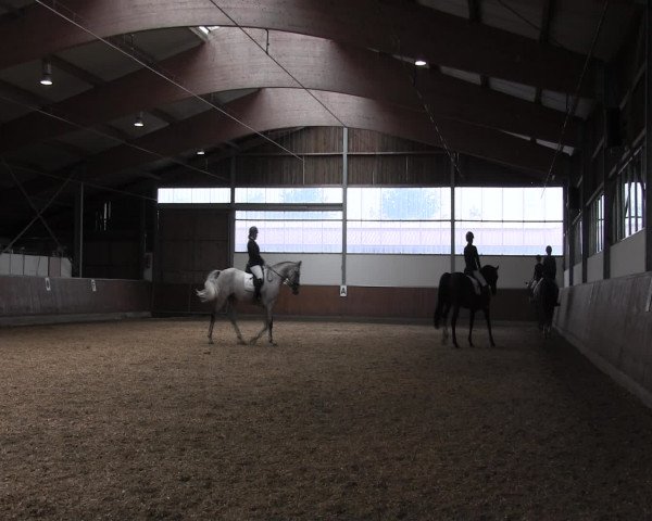 Reitturnier Fröndenberg 2016