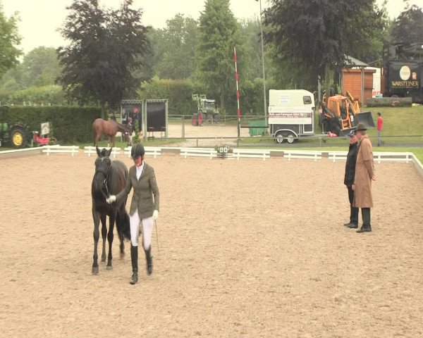 Reitturnier Fröndenberg 2016