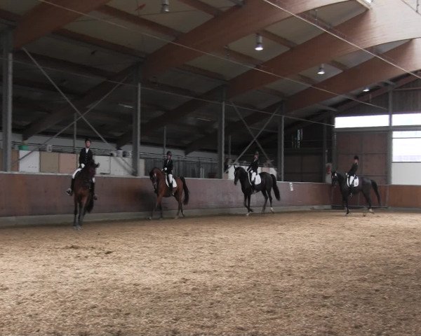 Reitturnier Fröndenberg 2016